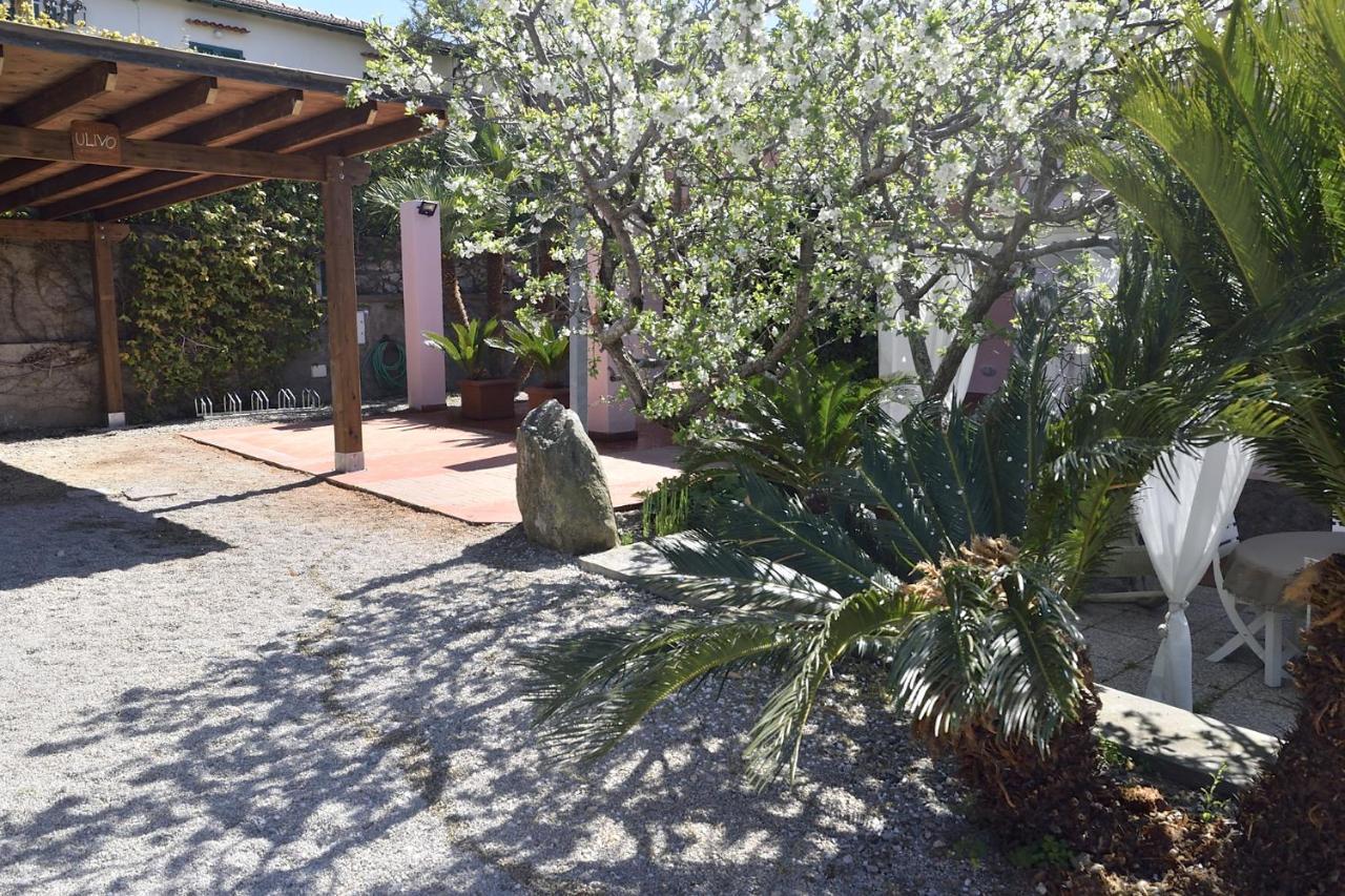Villa Fiore Apartments Portoferraio Exterior foto
