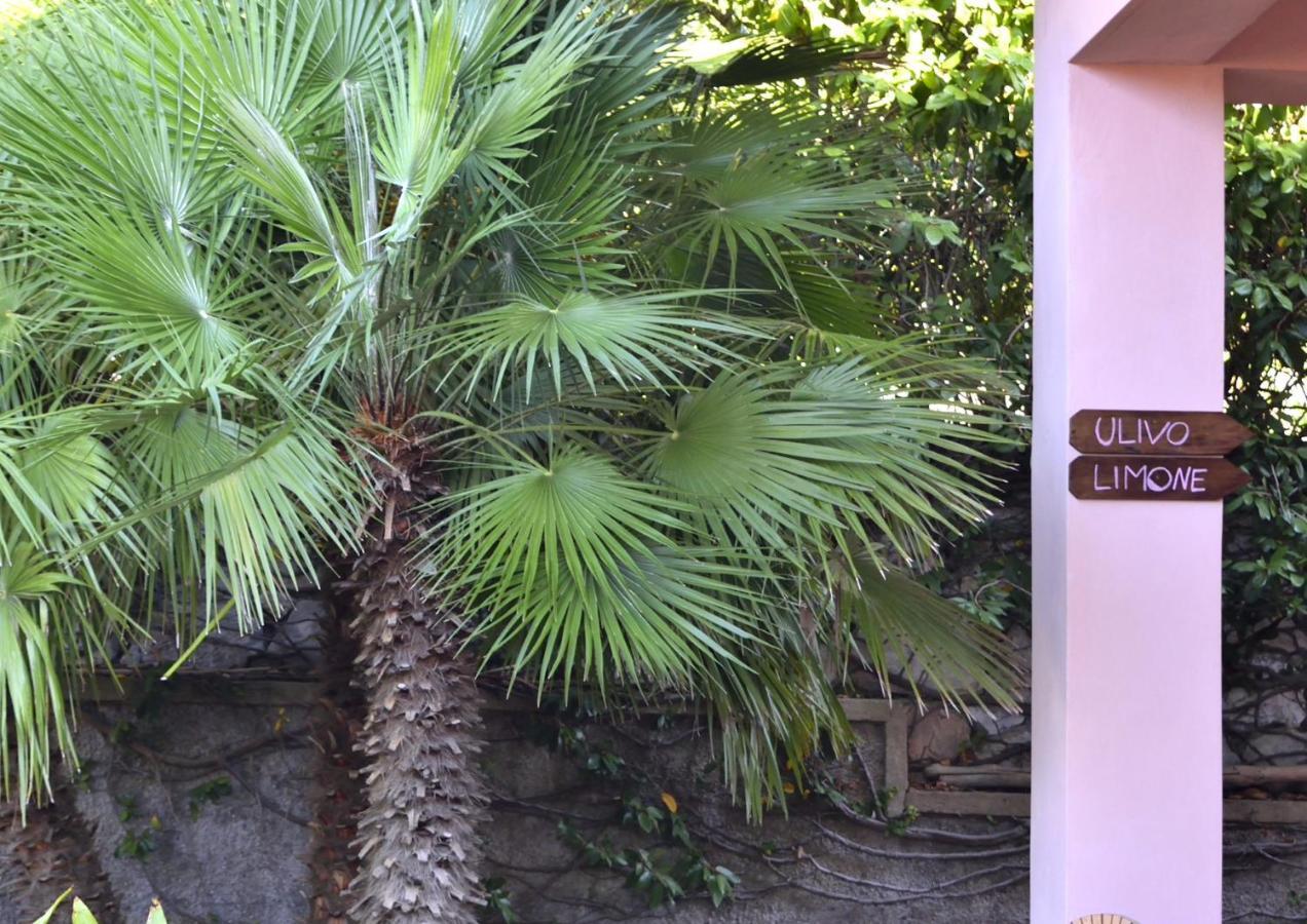 Villa Fiore Apartments Portoferraio Exterior foto